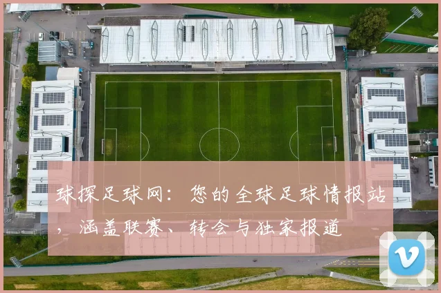球探足球网:您的全球足球情报站,涵盖联赛、转会与独家报道